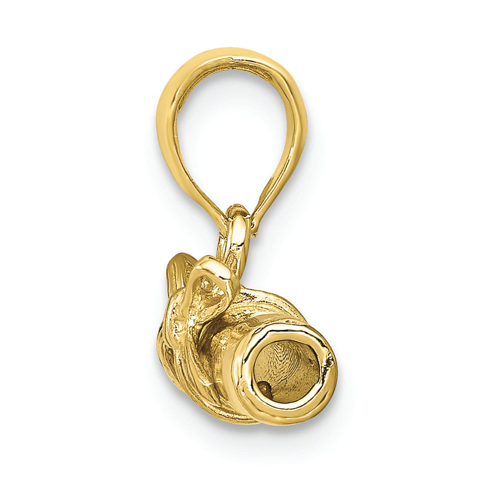 FJC Finejewelers 10k Yellow Gold 3d Diploma Rolled Up Graduation Charm