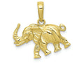 FJC Finejewelers 10k Yellow Gold Satin 3d Elephant Charm
