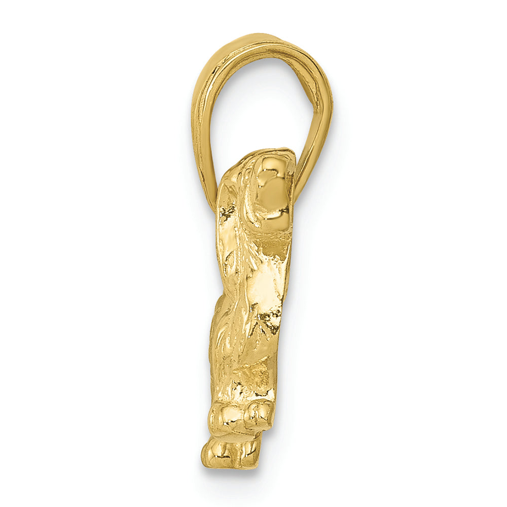 FJC Finejewelers 10k Yellow Gold Long-haired Dachshund Dog Charm