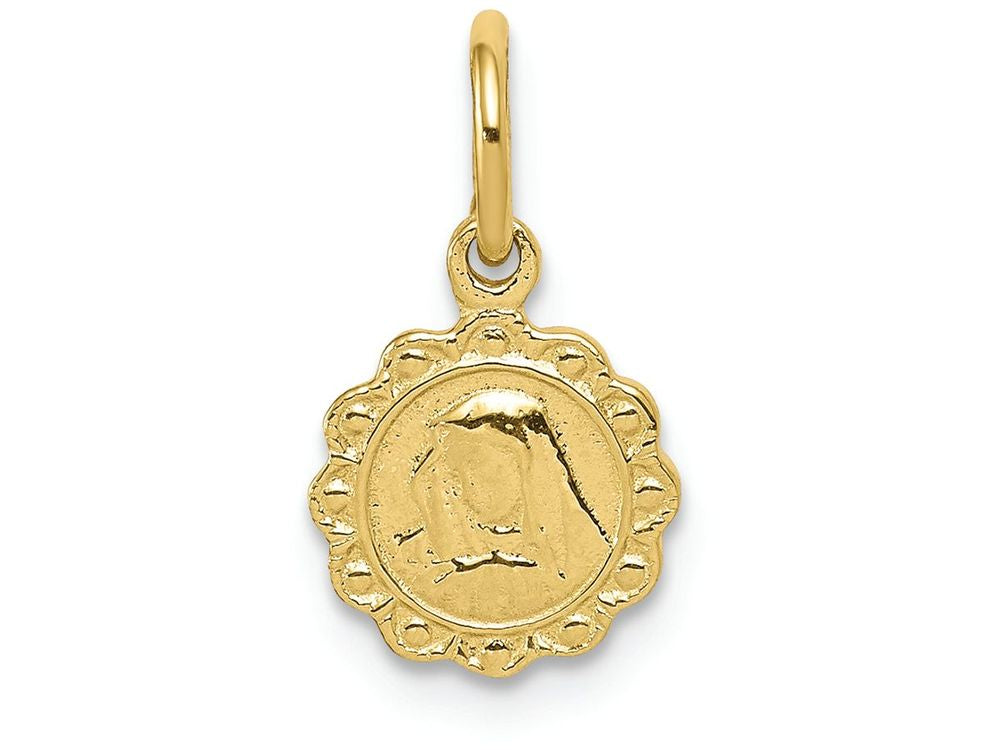 FJC Finejewelers 10k Yellow Gold Solid Satin Polished Our Lady Of Sorrows Disc Charm