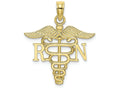 FJC Finejewelers 10k Yellow Gold Rn Caduceus Charm