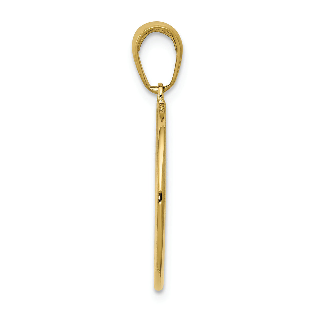 FJC Finejewelers 10k Yellow Gold Saint Anthony Round Medal Charm Satin Finish