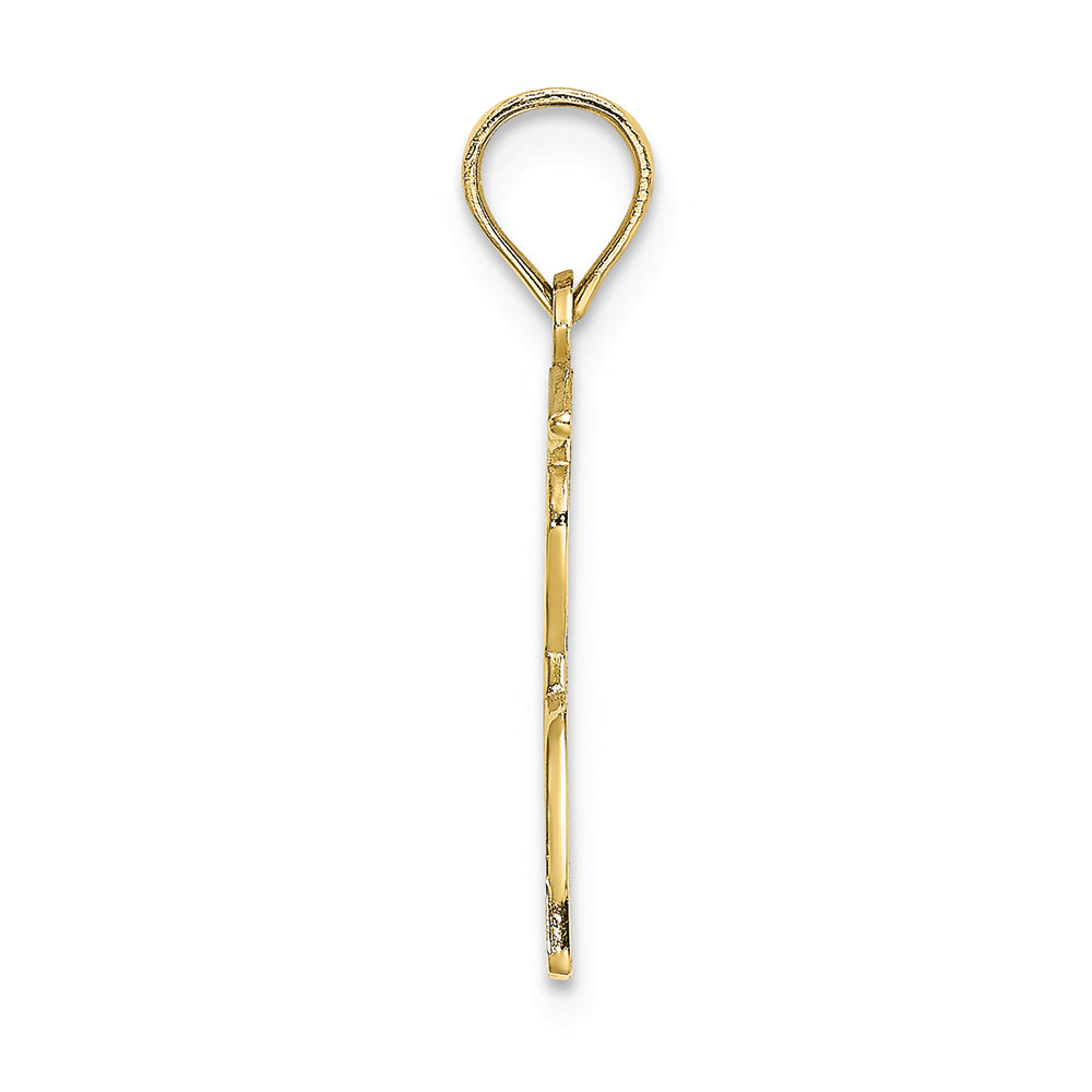 FJC Finejewelers 10k Yellow Gold Male Graduation Profile with Diploma - Charm
