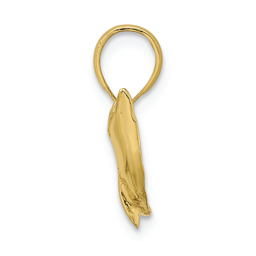 FJC Finejewelers 10k Yellow Gold Dolphin-tail Up Polish Textured Charm