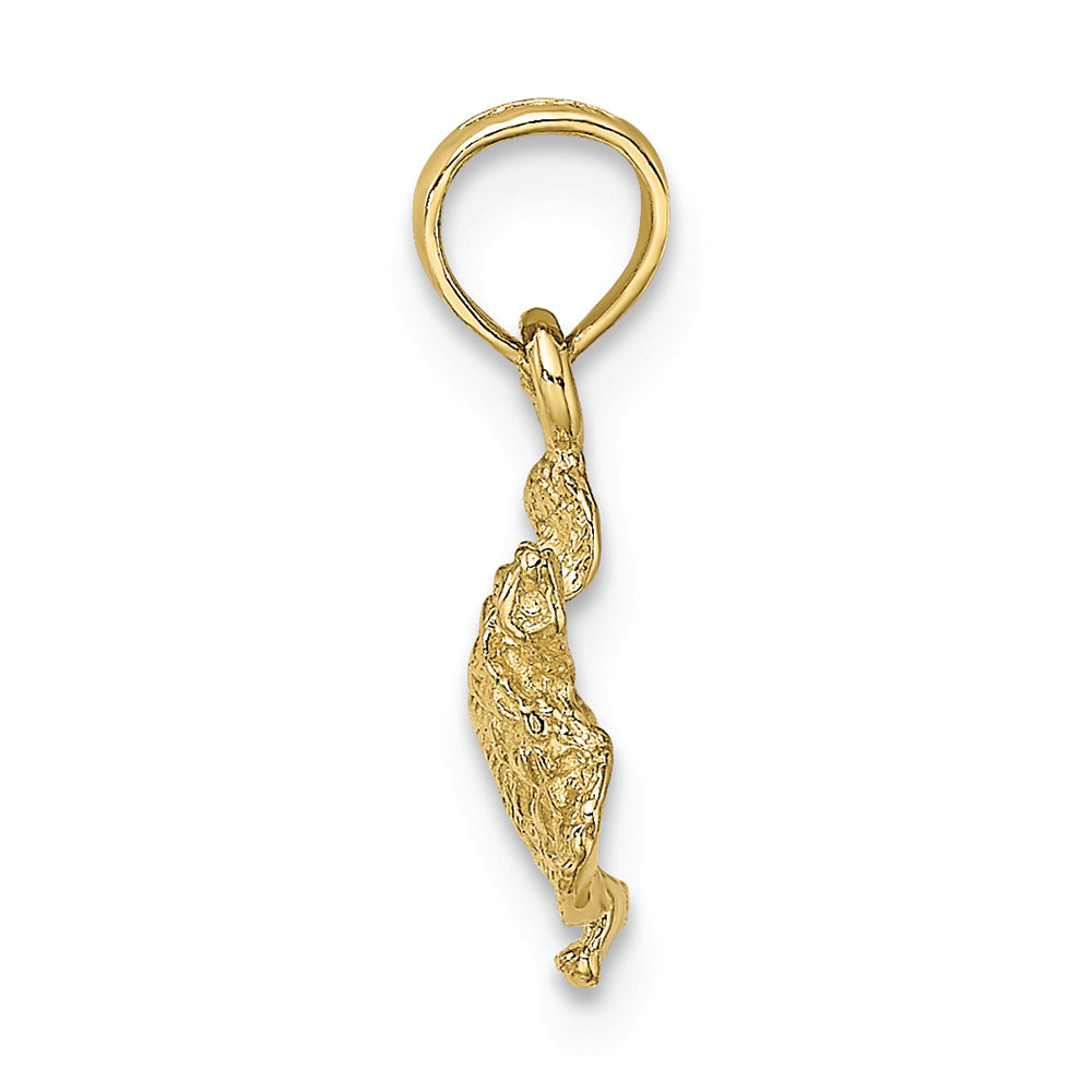 FJC Finejewelers 10k Yellow Gold Sea Turtle Charm