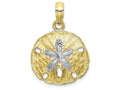 FJC Finejewelers 10k Yellow Gold Sand Dollar Polish with with Rhodium Charm