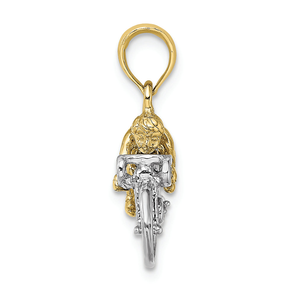 FJC Finejewelers 10k Two-tone Gold 3d Bicycle with Ridertwo-color Charm