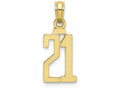 FJC Finejewelers 10k Yellow Gold 21 Block Charm
