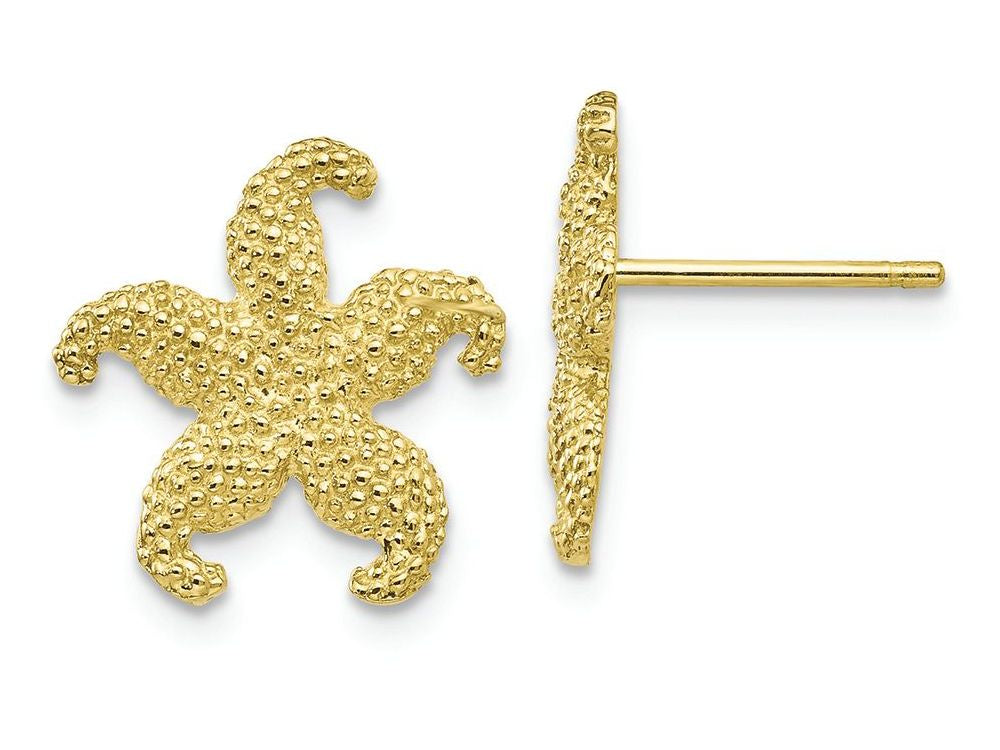 FJC Finejewelers 10k Yellow Gold Starfish Post Earrings