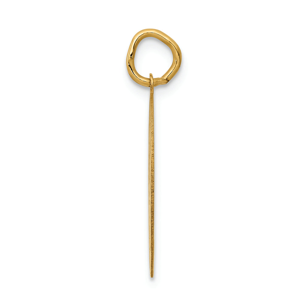 FJC Finejewelers 14k Yellow Gold Graduation Day Disc Charm