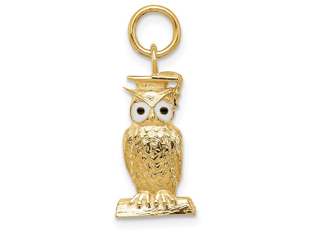 FJC Finejewelers 14k Yellow Gold Graduation Owl Charm with Enamel