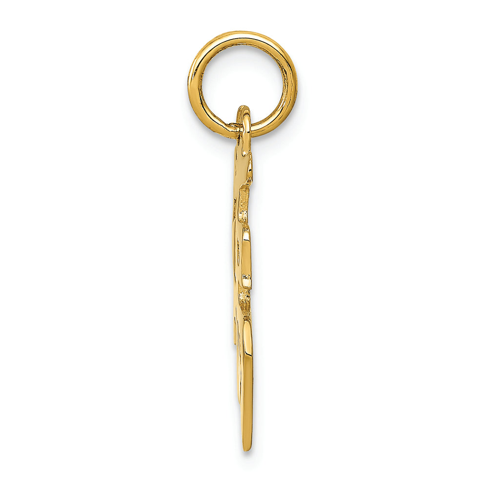 FJC Finejewelers 14k Yellow Gold Good Luck Charm