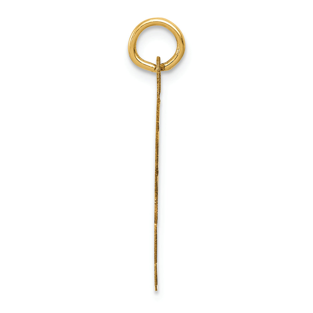 FJC Finejewelers 14k Yellow Gold Wrestling Disc Charm