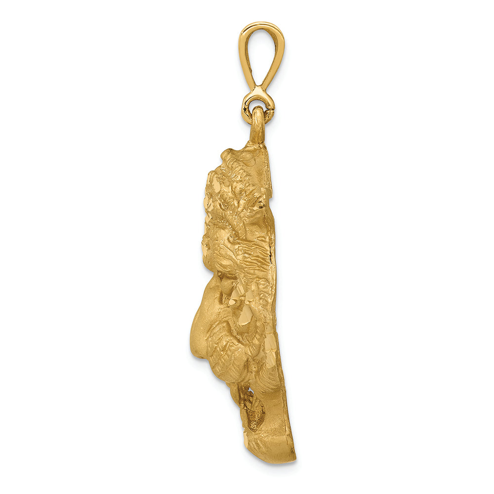 FJC Finejewelers 14k Yellow Gold Tigers Head Charm