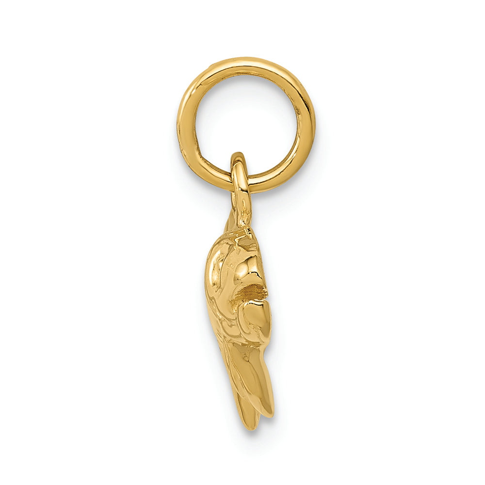 FJC Finejewelers 14k Yellow Gold Fish Charm