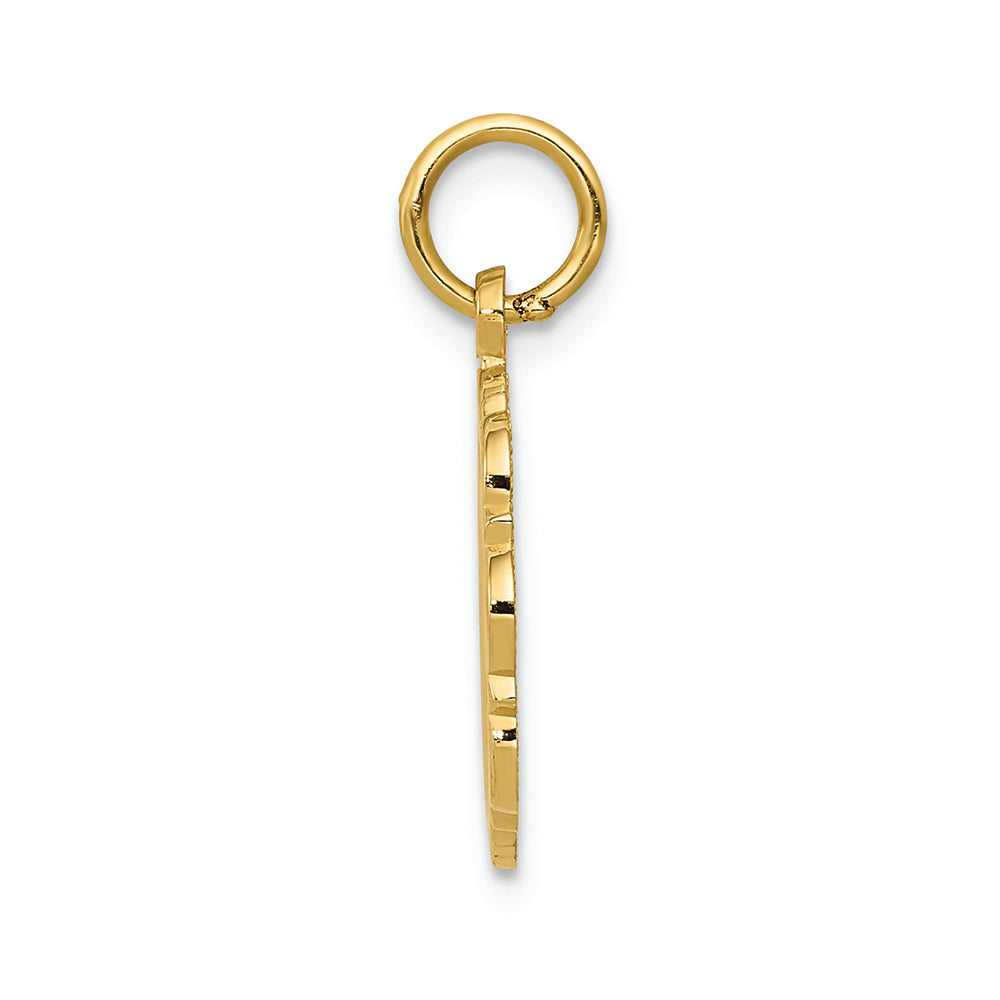 FJC Finejewelers 14k Yellow Gold Registered Nurse Disc Charm