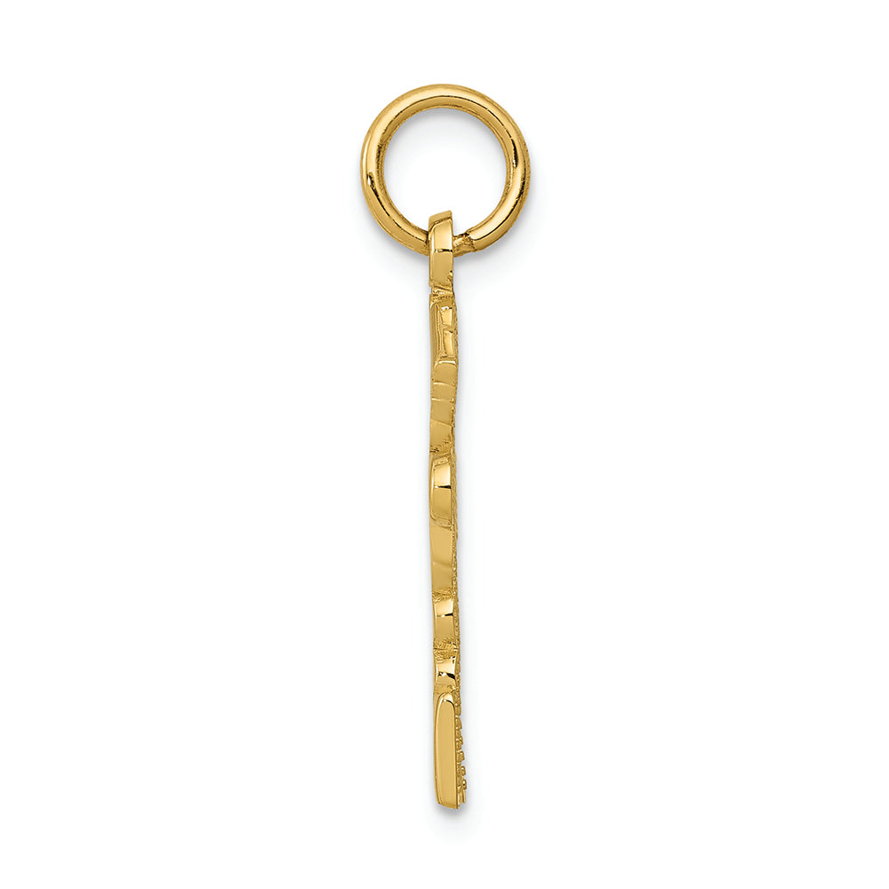 FJC Finejewelers 14k Yellow Gold Registered Nurse Practitioner Charm