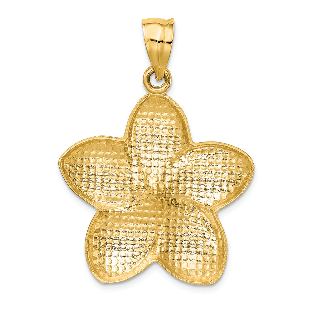 FJC Finejewelers 14k Yellow Gold Satin Bright Cut Open-backed Large Plumeria Charm