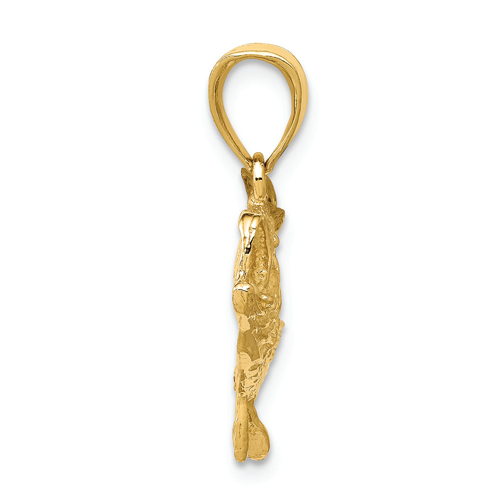 FJC Finejewelers 14k Yellow Gold Polished Open-backed Bass Fish Charm