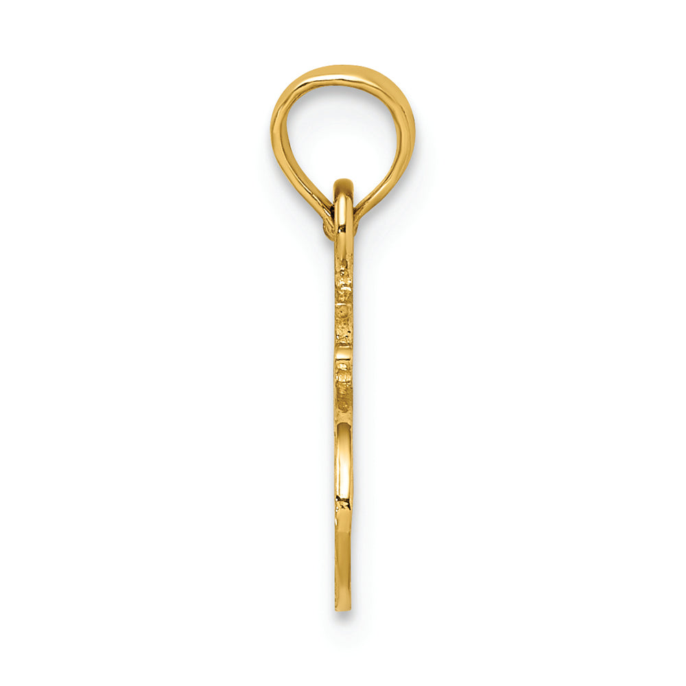 FJC Finejewelers 14k Yellow Gold #1 Auntie Charm