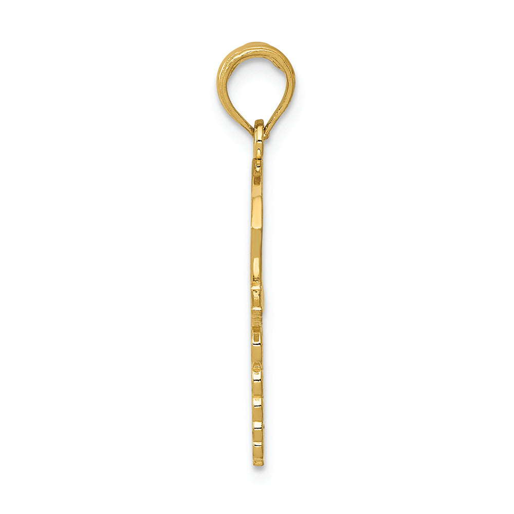 FJC Finejewelers 14k Yellow Gold Caduceus with Nurses Cap Charm