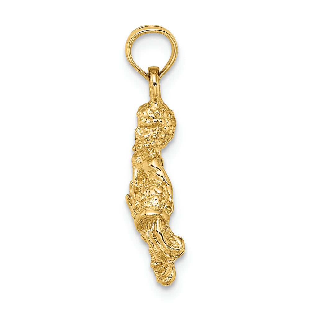 FJC Finejewelers 14k Yellow Gold 3D Aquarius Zodiac Charm