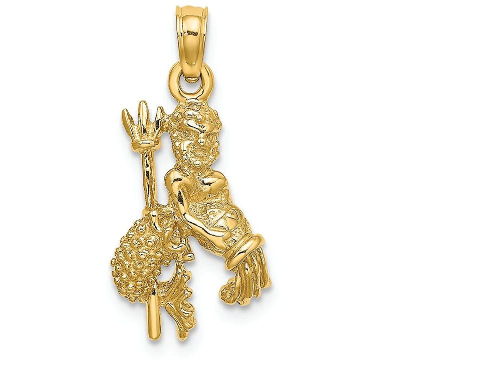 FJC Finejewelers 14k Yellow Gold 3D Aquarius Zodiac Charm