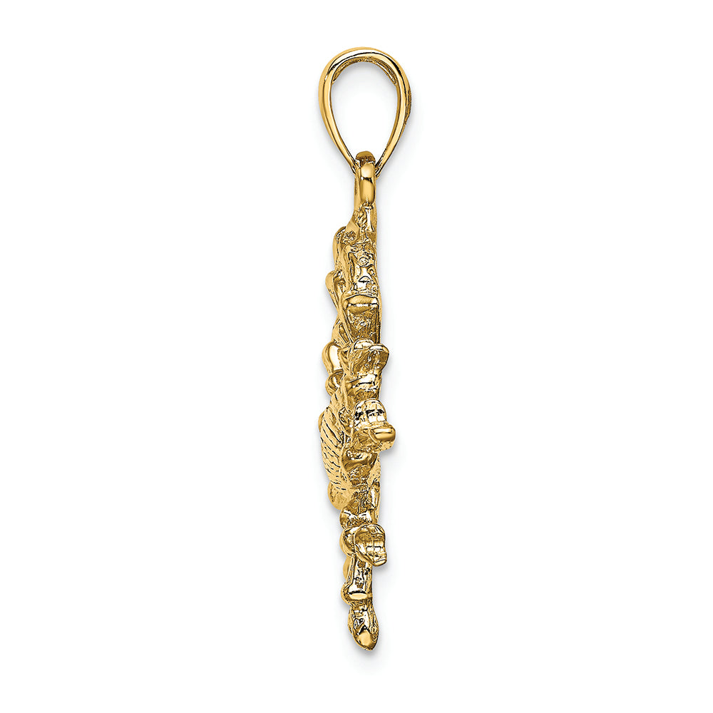 FJC Finejewelers 14k Yellow Gold Large Cancer Zodiac Charm
