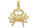 FJC Finejewelers 14k Yellow Gold Large Cancer Zodiac Charm