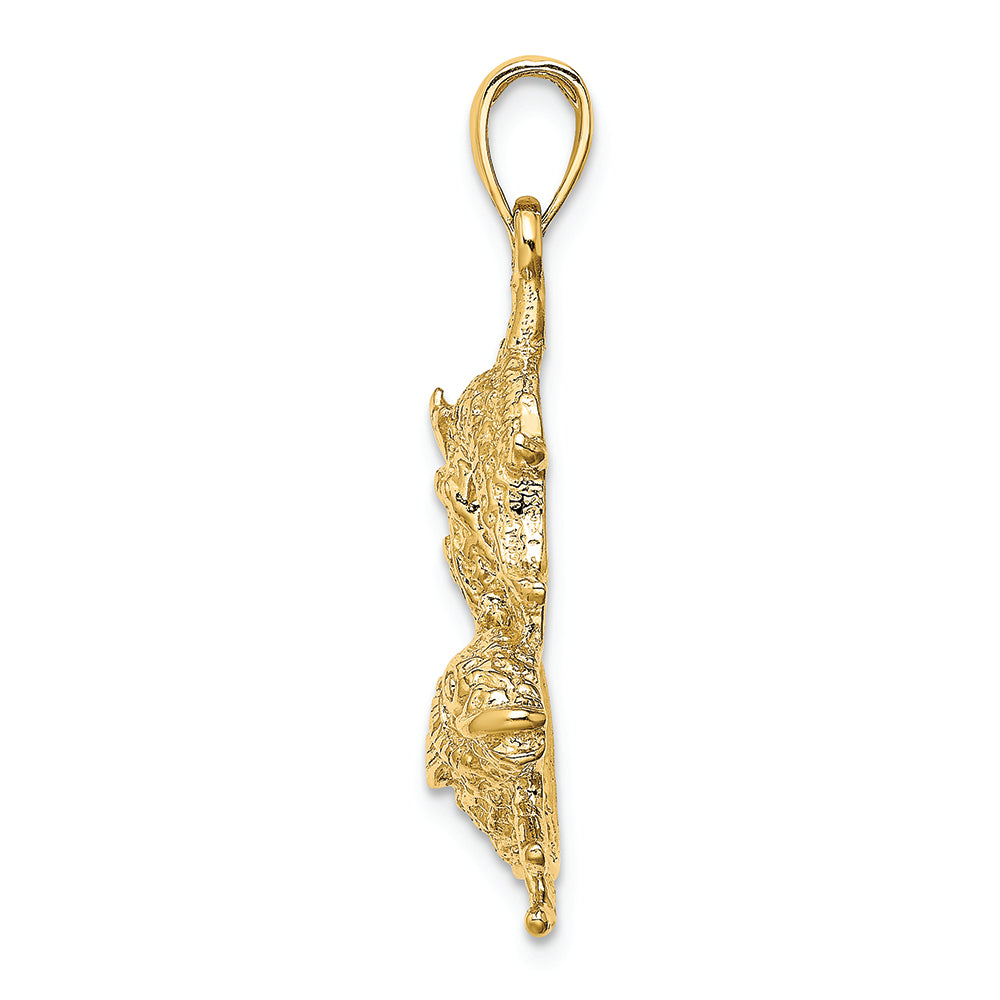 FJC Finejewelers 14k Yellow Gold Large Pisces Zodiac Charm