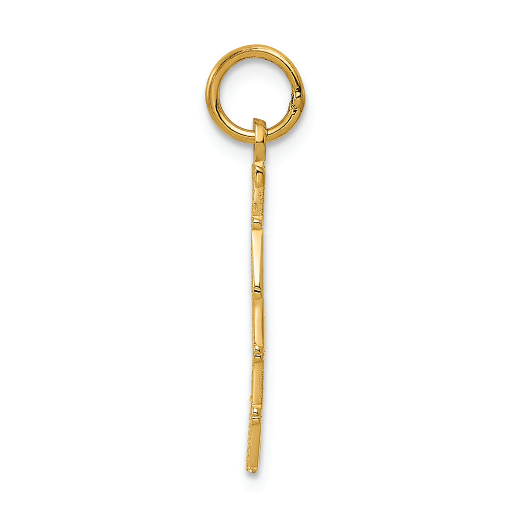 FJC Finejewelers 14k Yellow Gold Polished Taken Charm