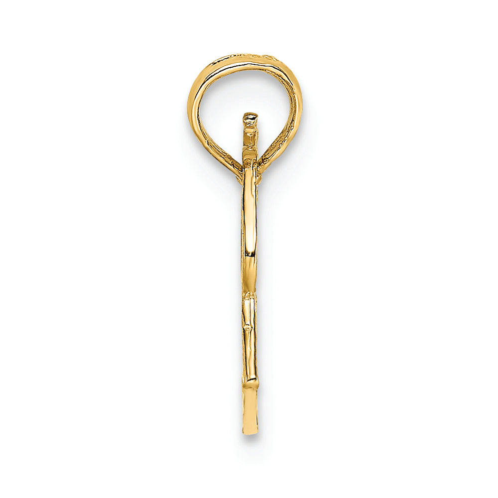 FJC Finejewelers 14k Yellow Gold Megaphone with Handle Charm