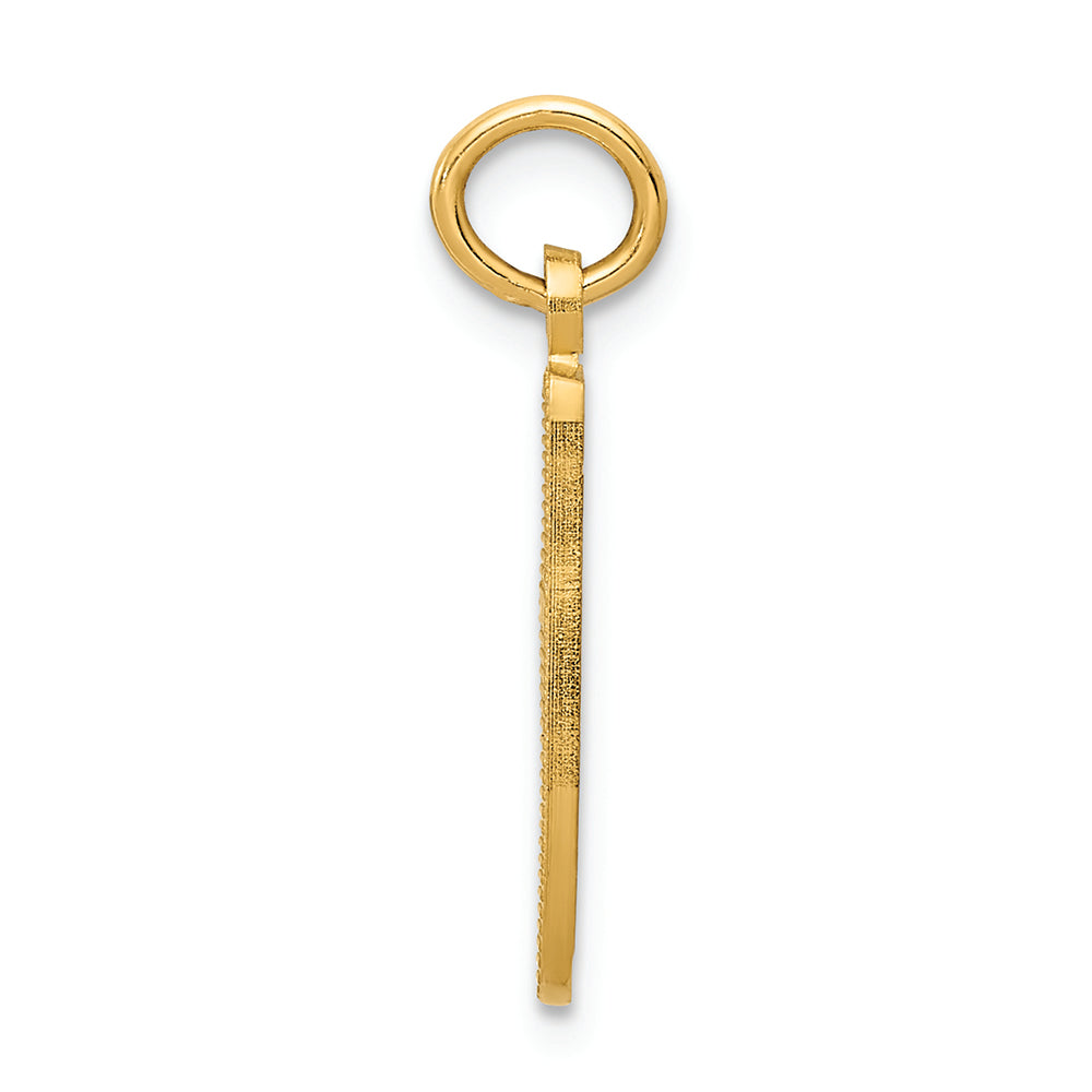 FJC Finejewelers 14k Yellow Gold Ballet Slipper Charm