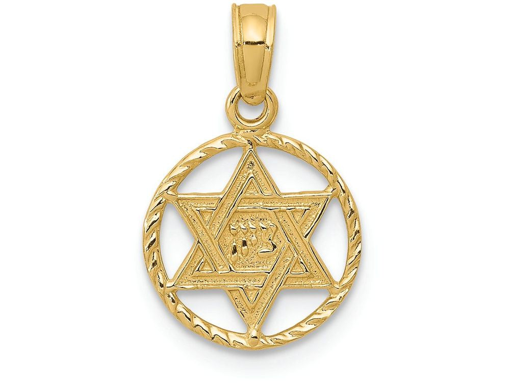 FJC Finejewelers 14k Yellow Gold Star Of David In Circle Frame Charm