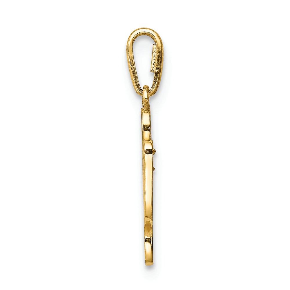 FJC Finejewelers 14k Yellow Gold Cactus CZ Charm