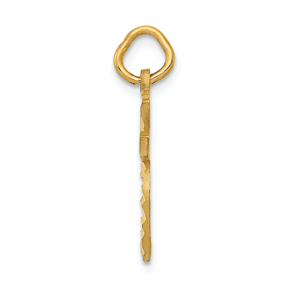 FJC Finejewelers 14k Yellow Gold Apple Charm