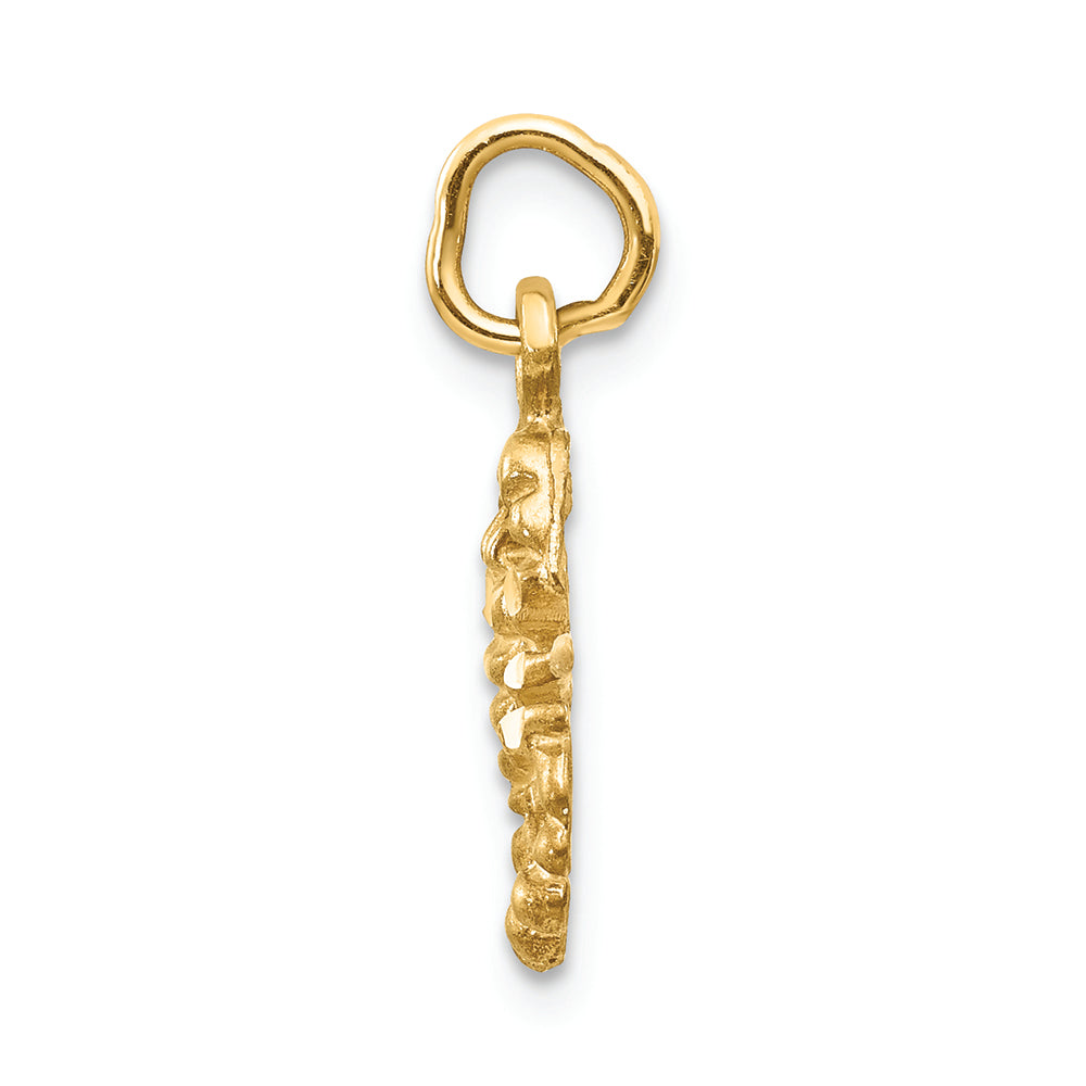 FJC Finejewelers 14k Yellow Gold Scorpio Zodiac Charm