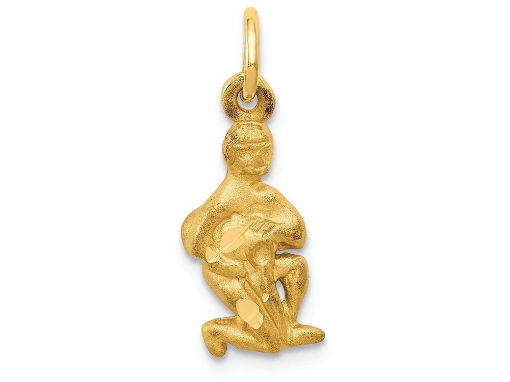FJC Finejewelers 14k Yellow Gold Aquarius Zodiac Charm