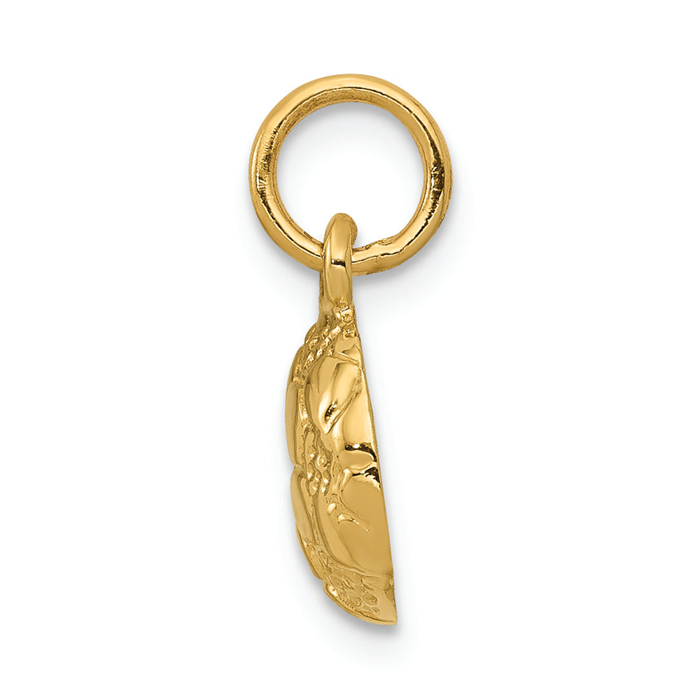 FJC Finejewelers 14k Yellow Gold Soccer Ball Charm