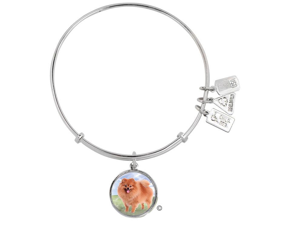 Wind And Fire Pet Collection Expandable Bangle With Pomeranian Photo Charm