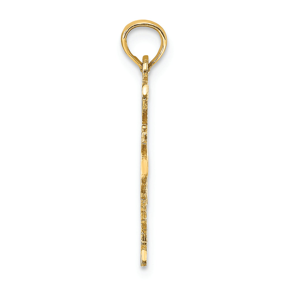 FJC Finejewelers 14k Yellow Gold Solid Texas State Charm