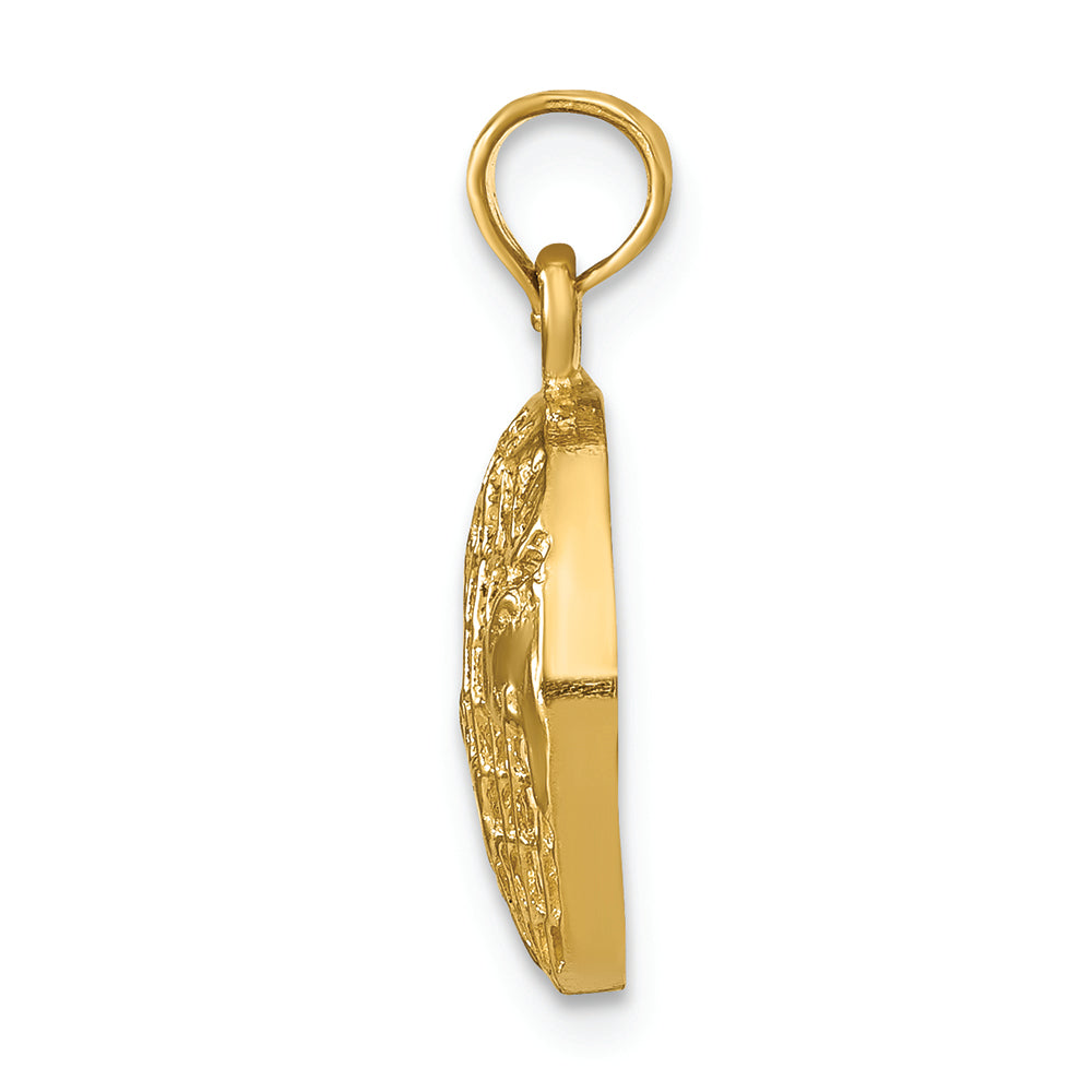 FJC Finejewelers 14k Yellow Gold Polished Globe Charm