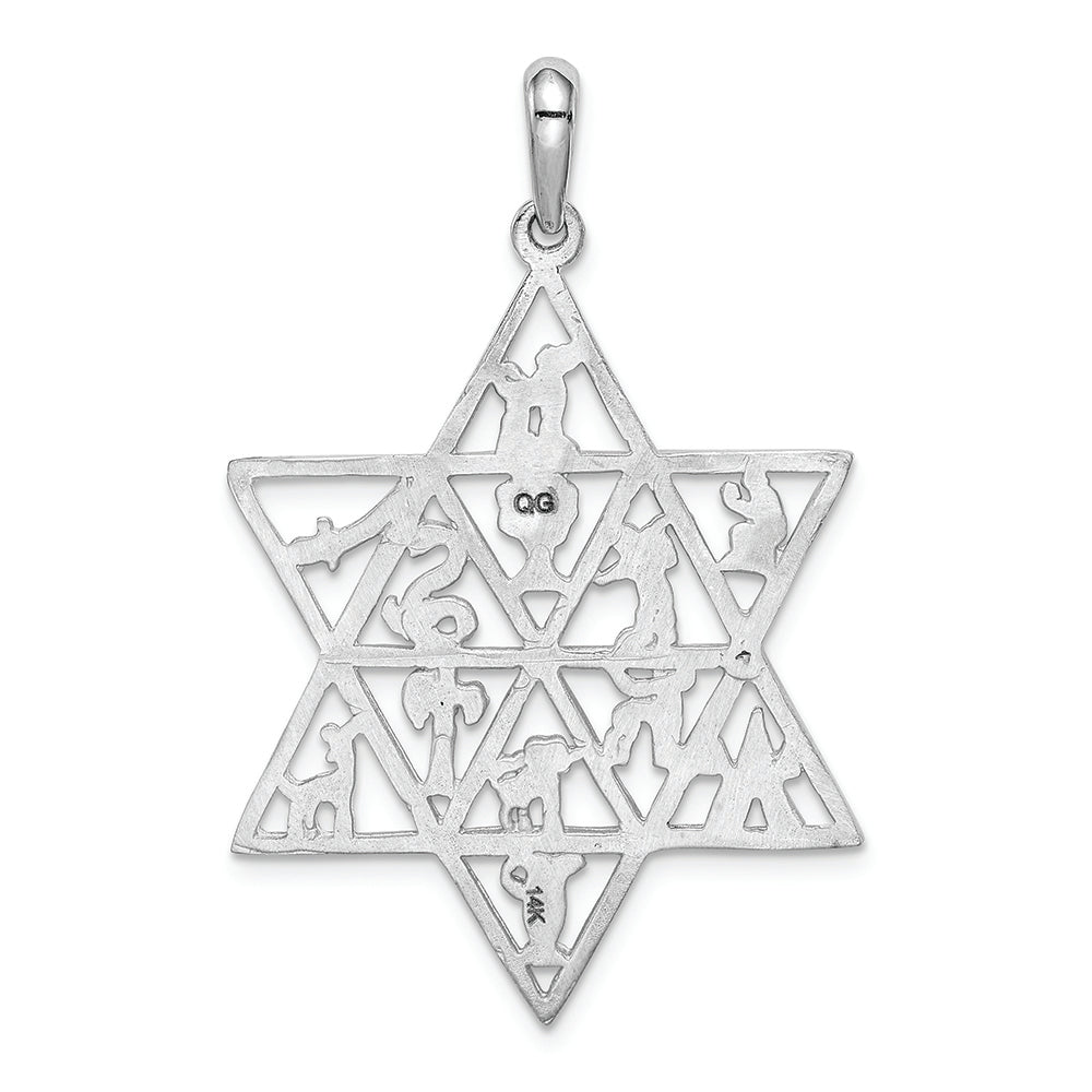 FJC Finejewelers 14k White Gold 12 Tribes Star Of David Charm