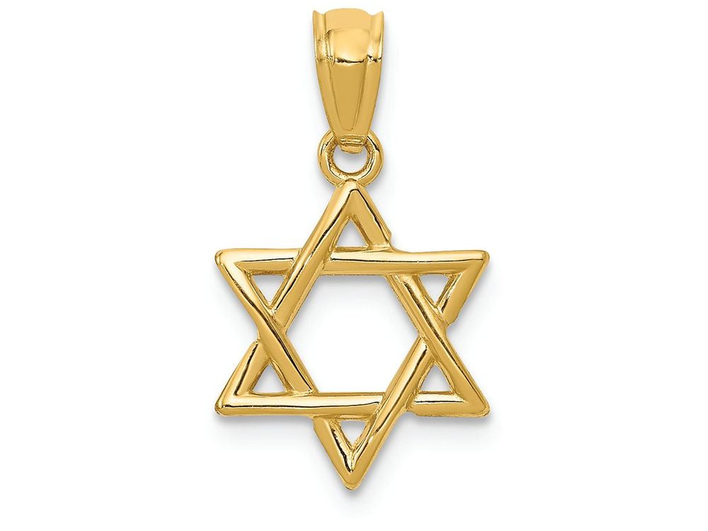 FJC Finejewelers 14k Yellow Gold Polished Star Of David Charm