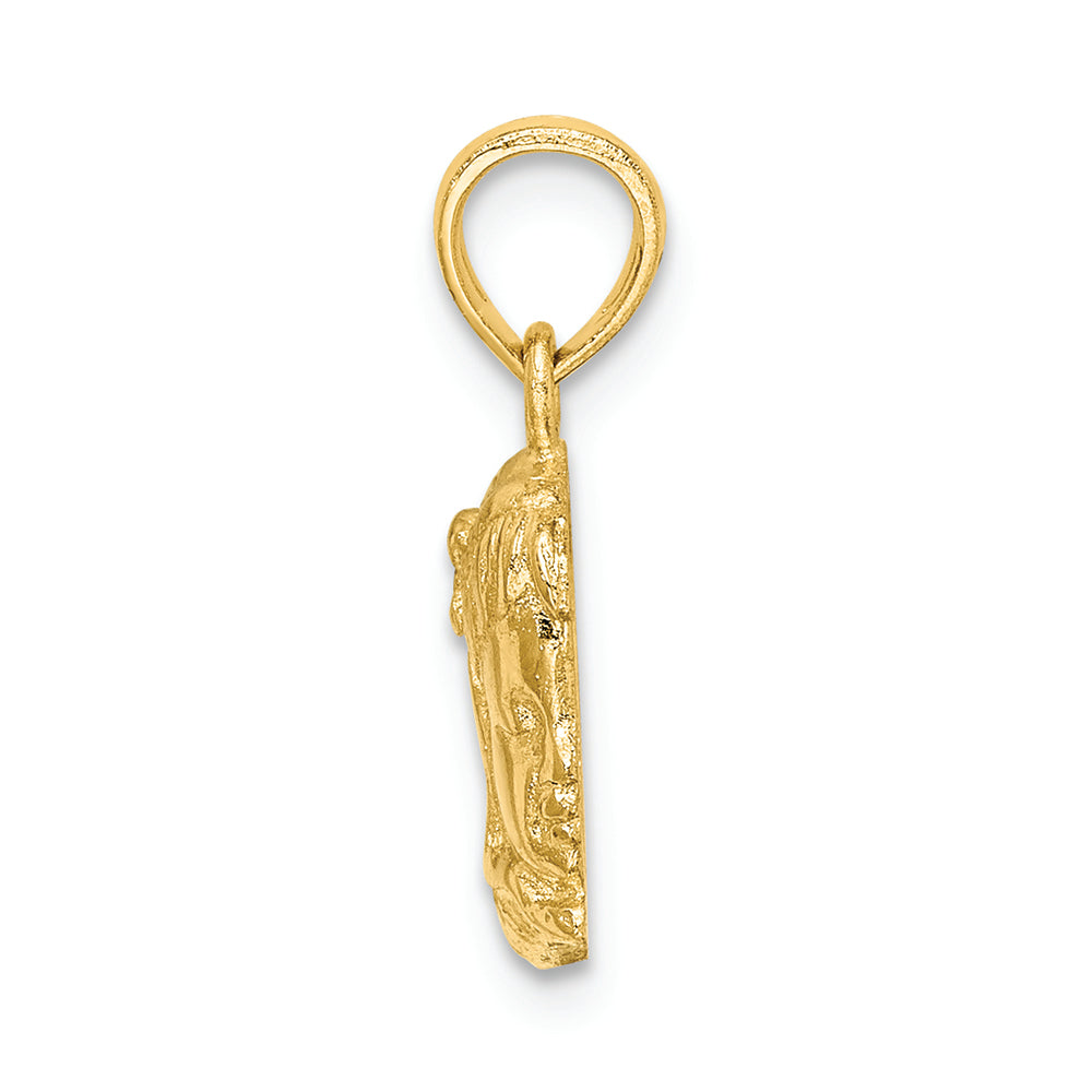 FJC Finejewelers 14k Yellow Gold Girl Head Charm