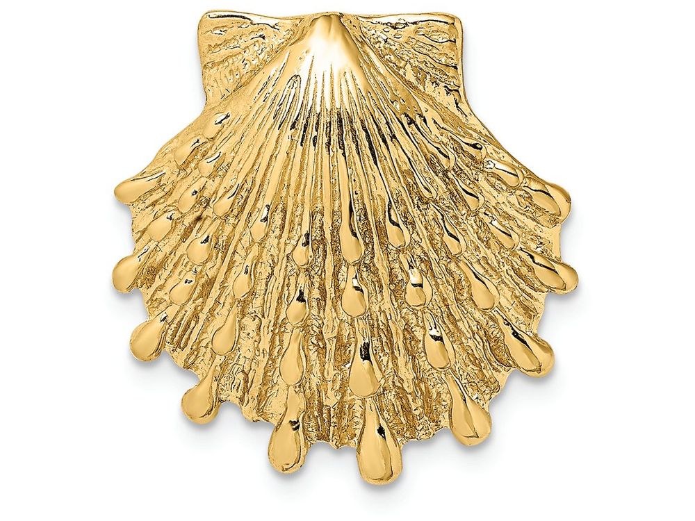 FJC Finejewelers 14k Yellow Gold Small Lion's Paw Shell Slide Charm