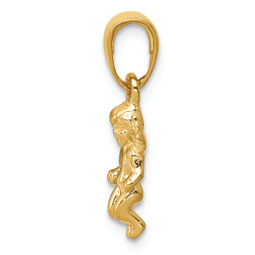 FJC Finejewelers 14k Yellow Gold Small Guardian Angel Charm