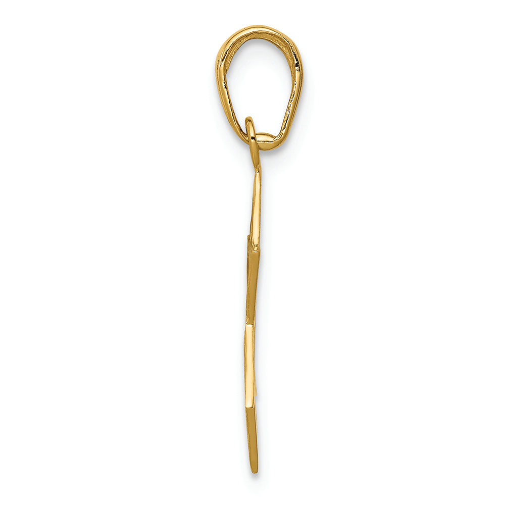 FJC Finejewelers 14k Yellow Gold Star Of David Charm