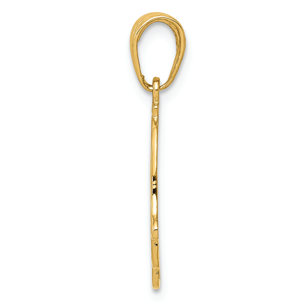 FJC Finejewelers 14k Yellow Gold Chamseh Charm