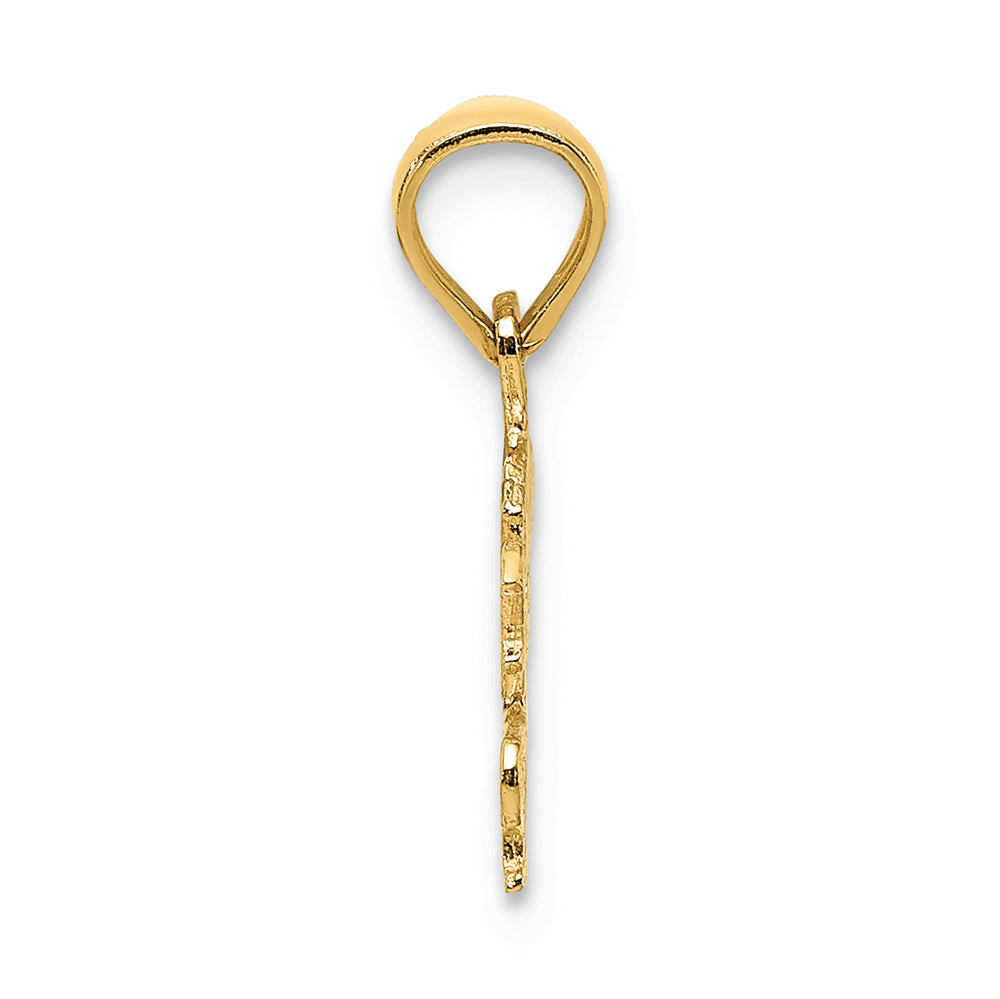 FJC Finejewelers 14k Yellow Gold Born To Shop Charm